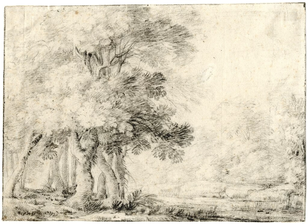 François Ryckhals - Paesaggio boscoso 1